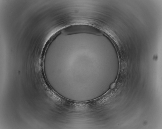 X0000099420928200805301404