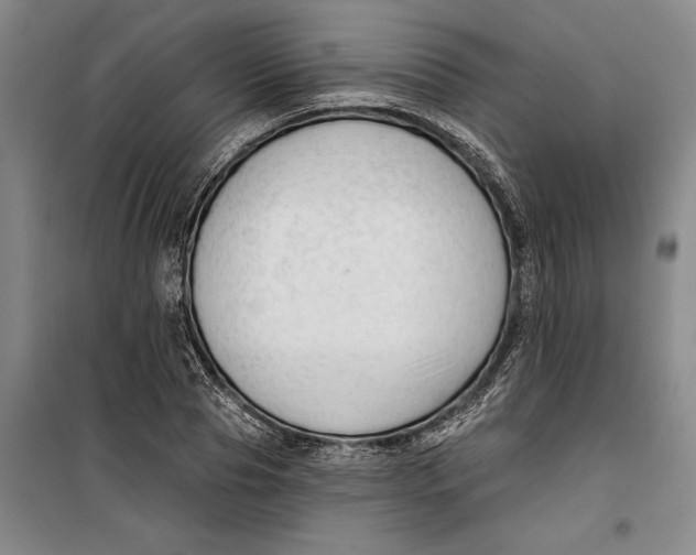 X0000099420929200805301404