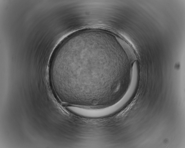 X0000099420932200805301404