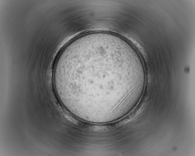 X0000099420933200805301404