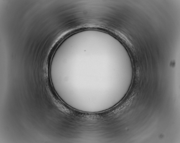 X0000099420934200805301404