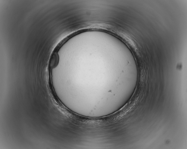 X0000099420936200805301404