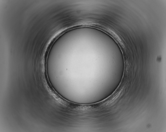 X0000099420939200805301404