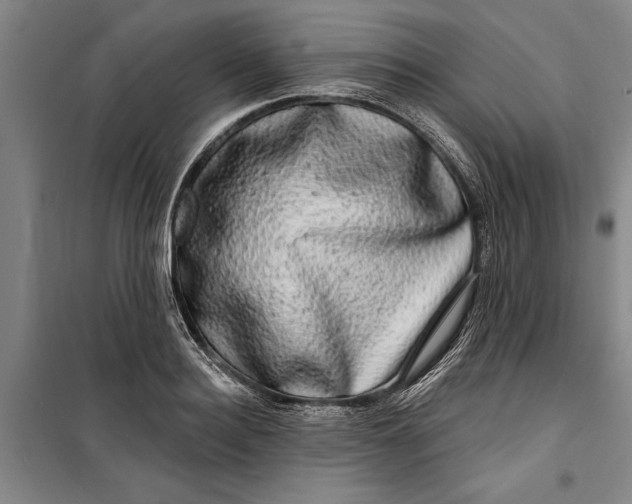 X0000099420940200805301404