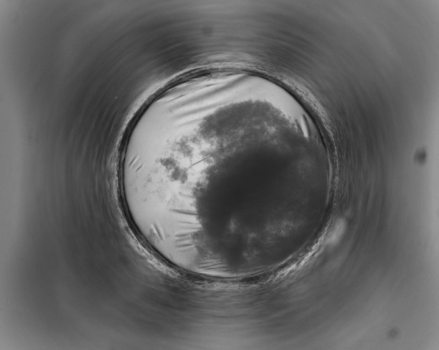 X0000099420941200805301404