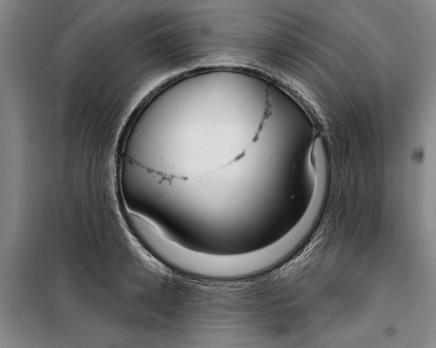 X0000099420942200805301404