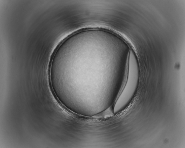 X0000099420943200805301404