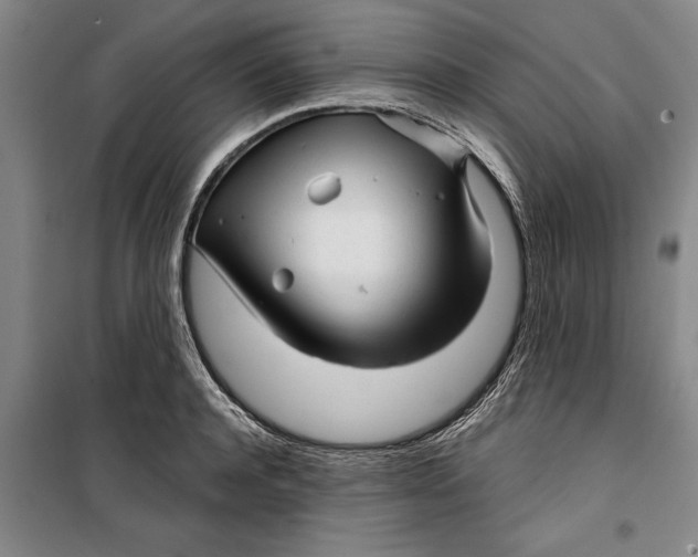 X0000099420944200805301404