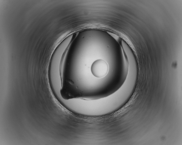 X0000099420946200805301404