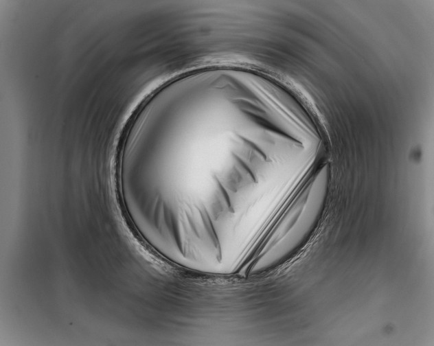 X0000099420947200805301404