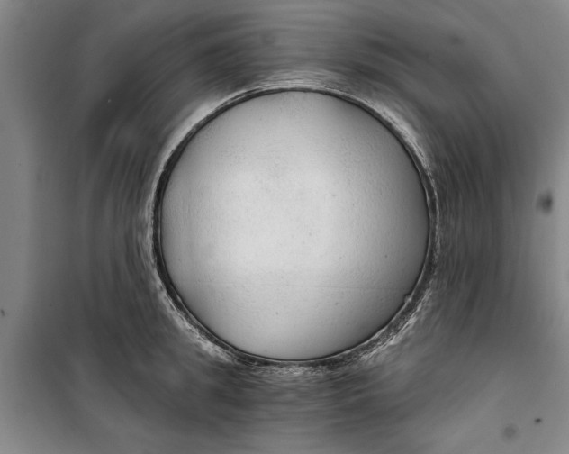 X0000099420949200805301404