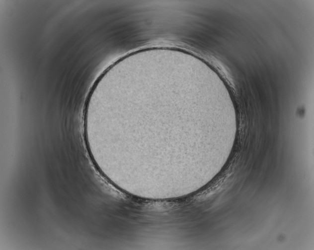 X0000099420950200805301404