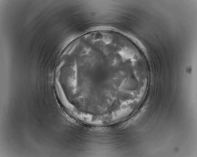 X0000099420953200805301404