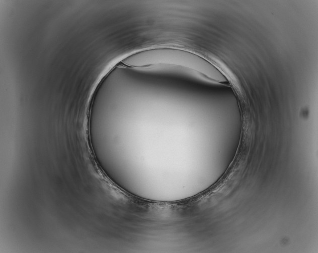 X0000099420956200805301404