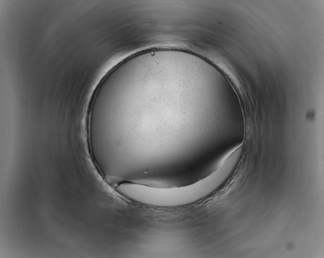 X0000099420959200805301404