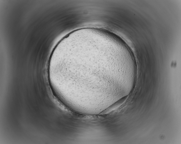 X0000099420960200805301404