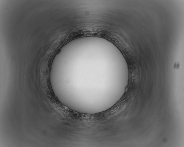 X0000099420961200805301403