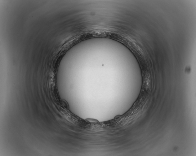 X0000099420964200805301403