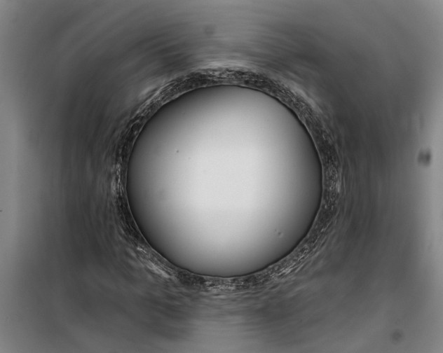 X0000099420965200805301403