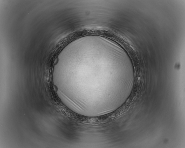 X0000099420966200805301403