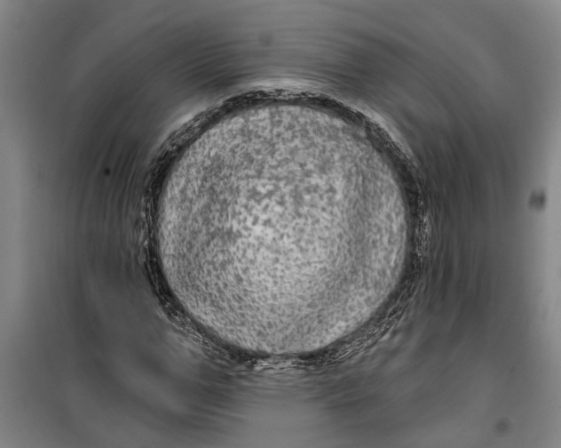 X0000099420967200805301403