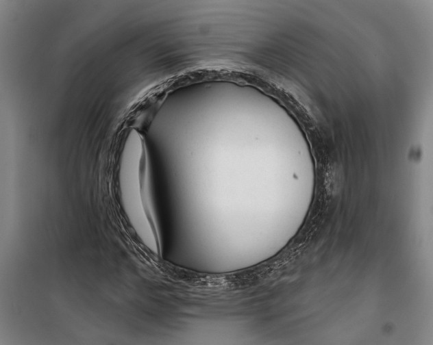 X0000099420968200805301403