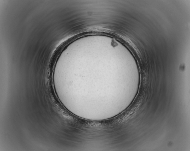 X0000099420971200805301403