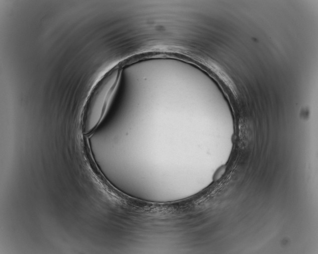 X0000099420972200805301403