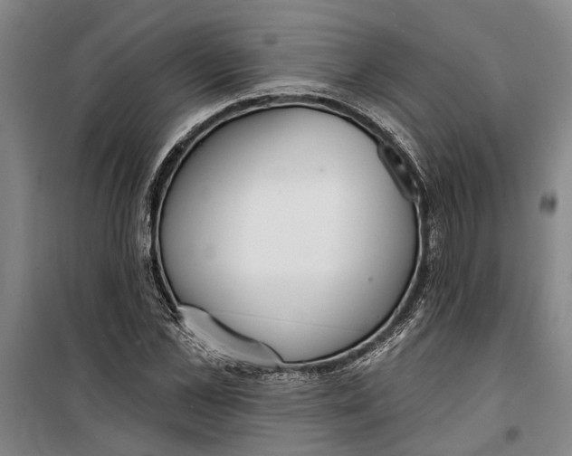 X0000099420973200805301403