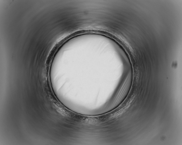 X0000099420974200805301403