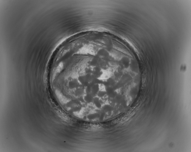 X0000099420975200805301403