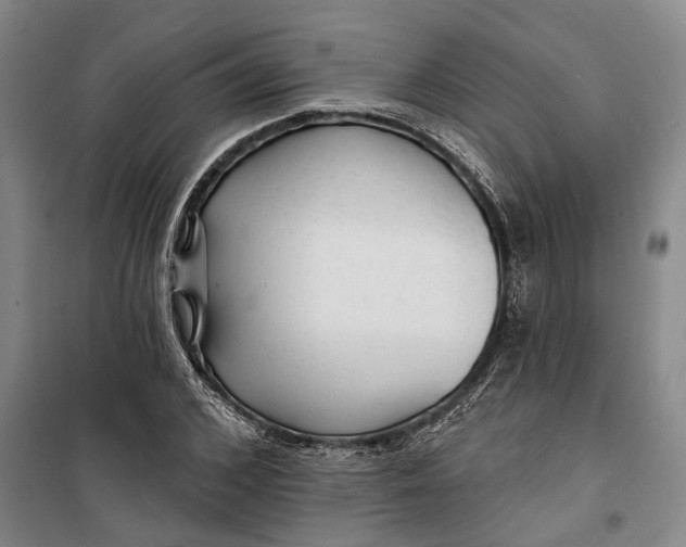 X0000099420976200805301403