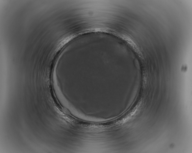 X0000099420977200805301403