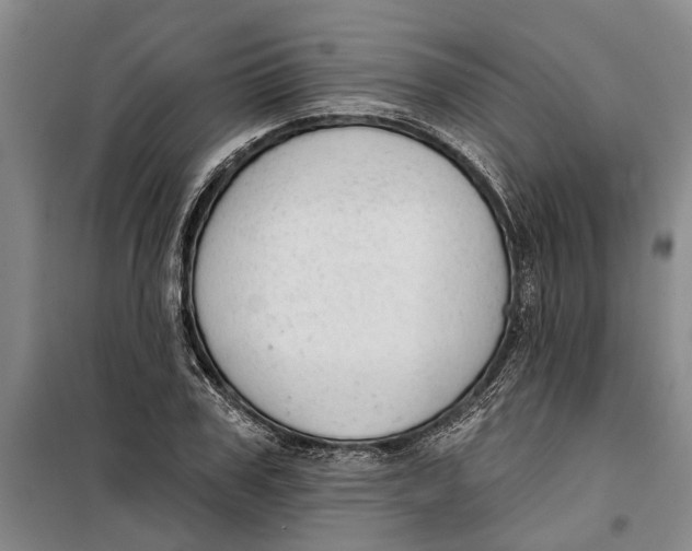 X0000099420979200805301403