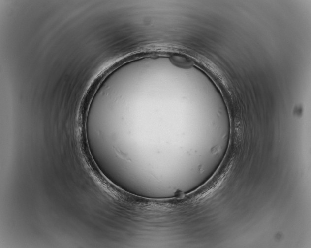 X0000099420981200805301403