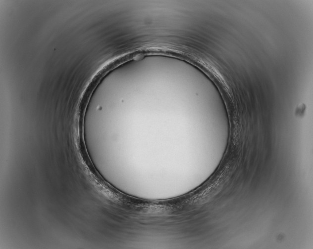 X0000099420984200805301403