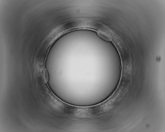 X0000099420985200805301403