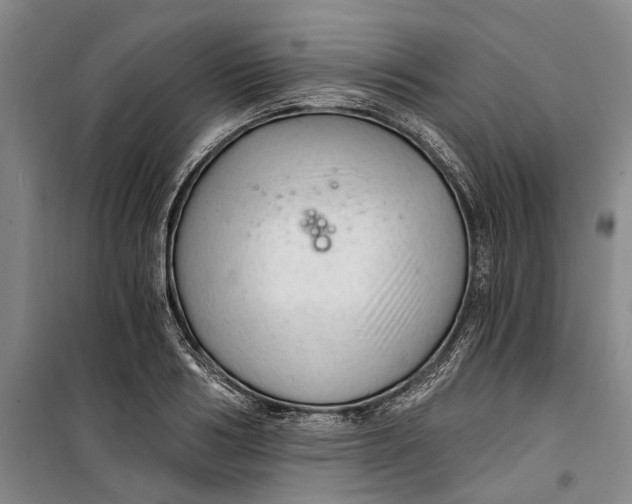 X0000099420986200805301403