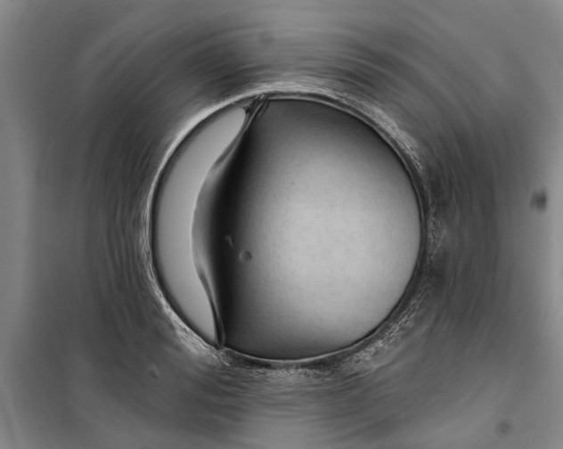 X0000099420988200805301403