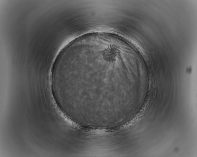 X0000099420990200805301403