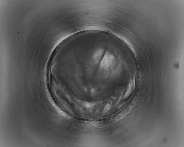 X0000099420991200805301403