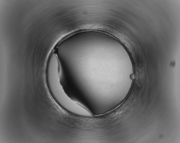 X0000099420992200805301403