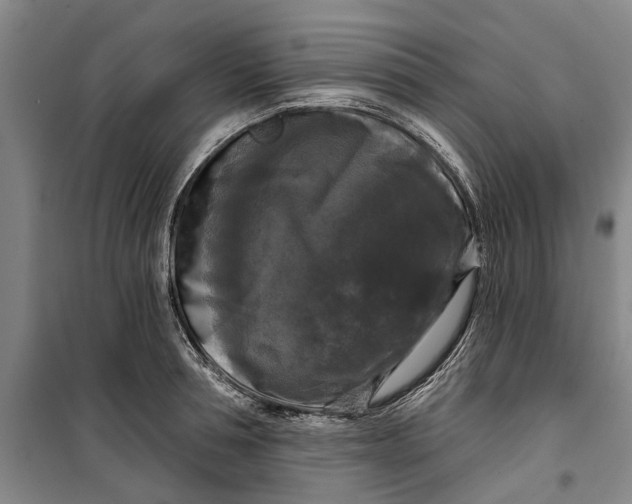 X0000099420994200805301403