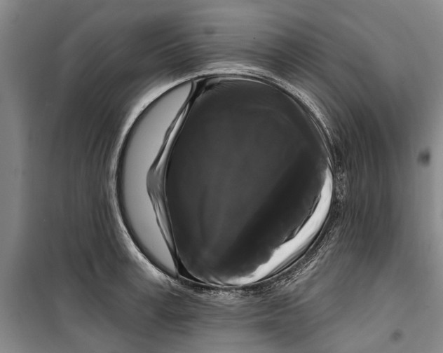 X0000099420995200805301403