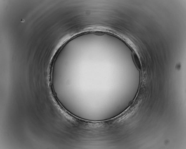 X0000099420997200805301403