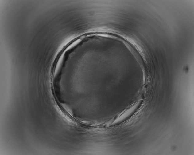 X0000099420998200805301403