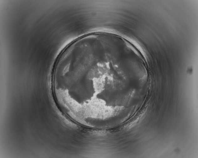 X0000099420999200805301403