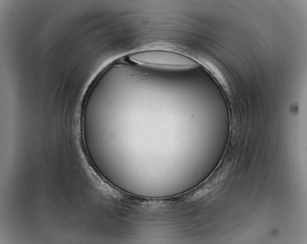 X0000099421000200805301403