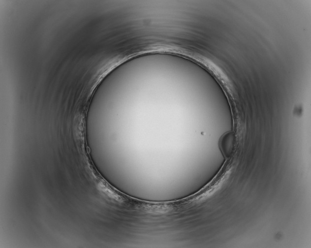 X0000099421001200805301403