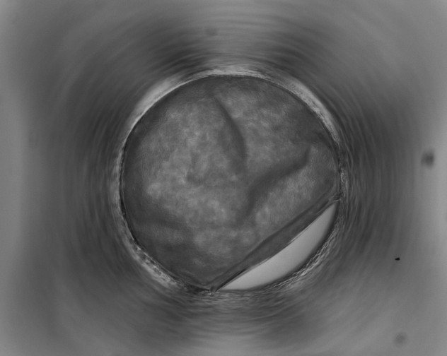 X0000099421002200805301403